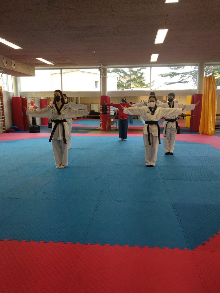 CURSO DE ARBITRAJE 2021